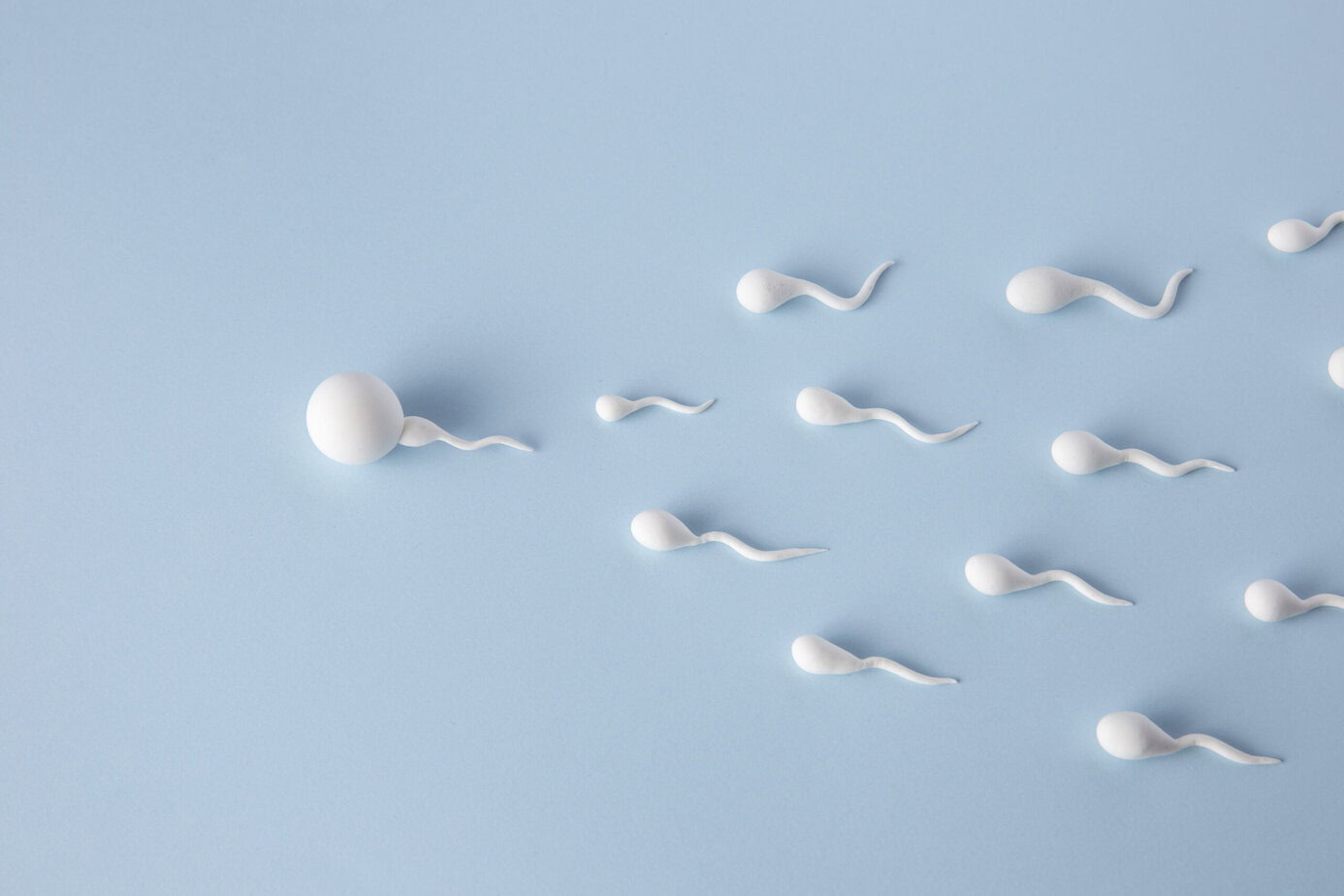 Oregon Considers Bill to End Anonymity for Sperm and Egg Donors