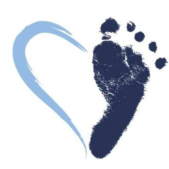 Village Surrogacy logo